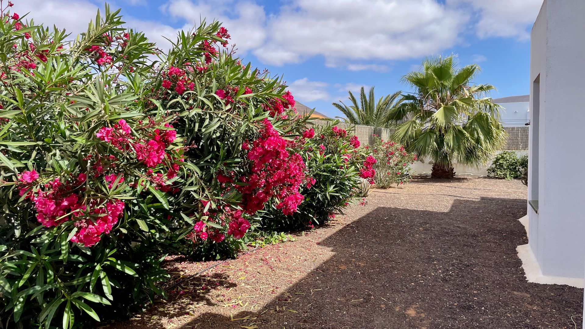 Piscina Villa Fuerteventura Vacaciones Reserva Precio