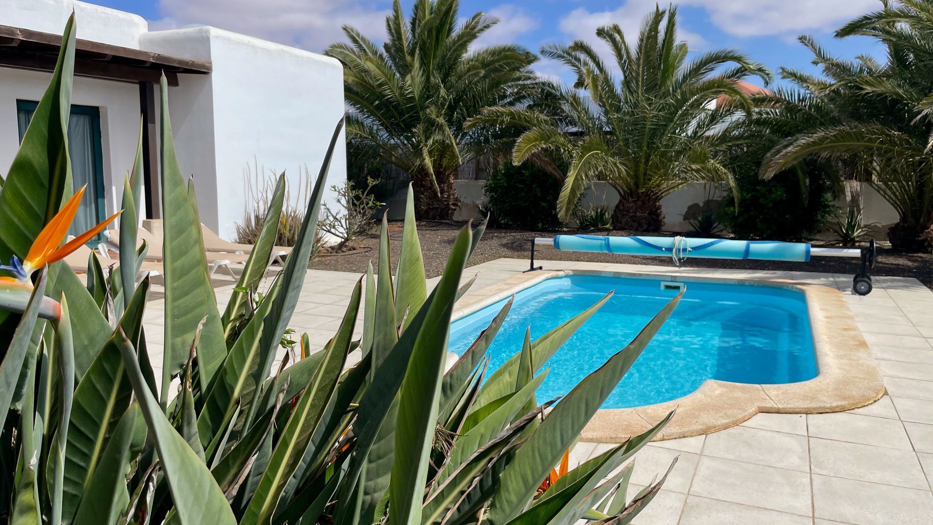 Piscine Villa Fuerteventura Vacances Booking Prix