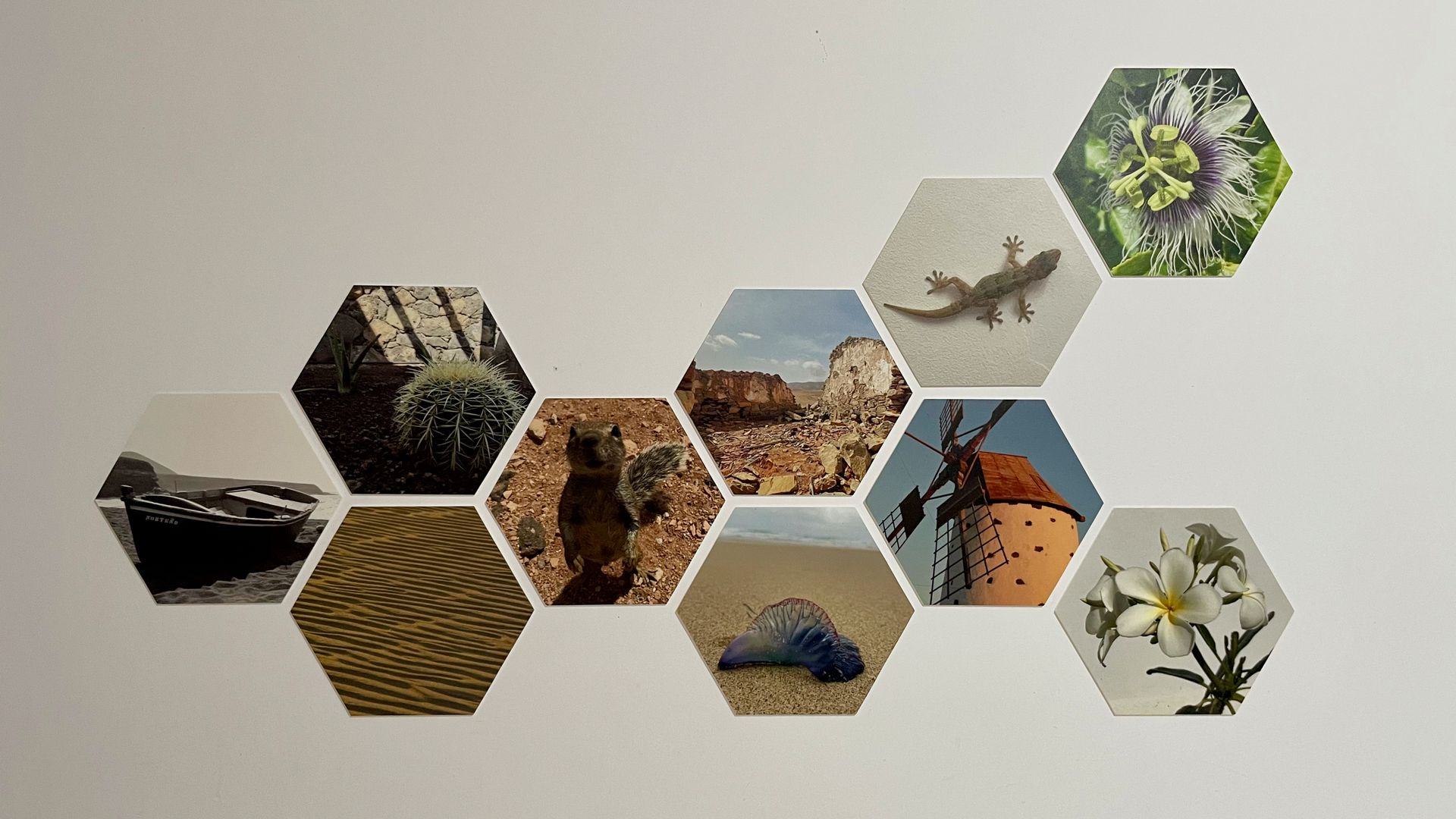 Villa Fuerteventura Pool Holidays Price