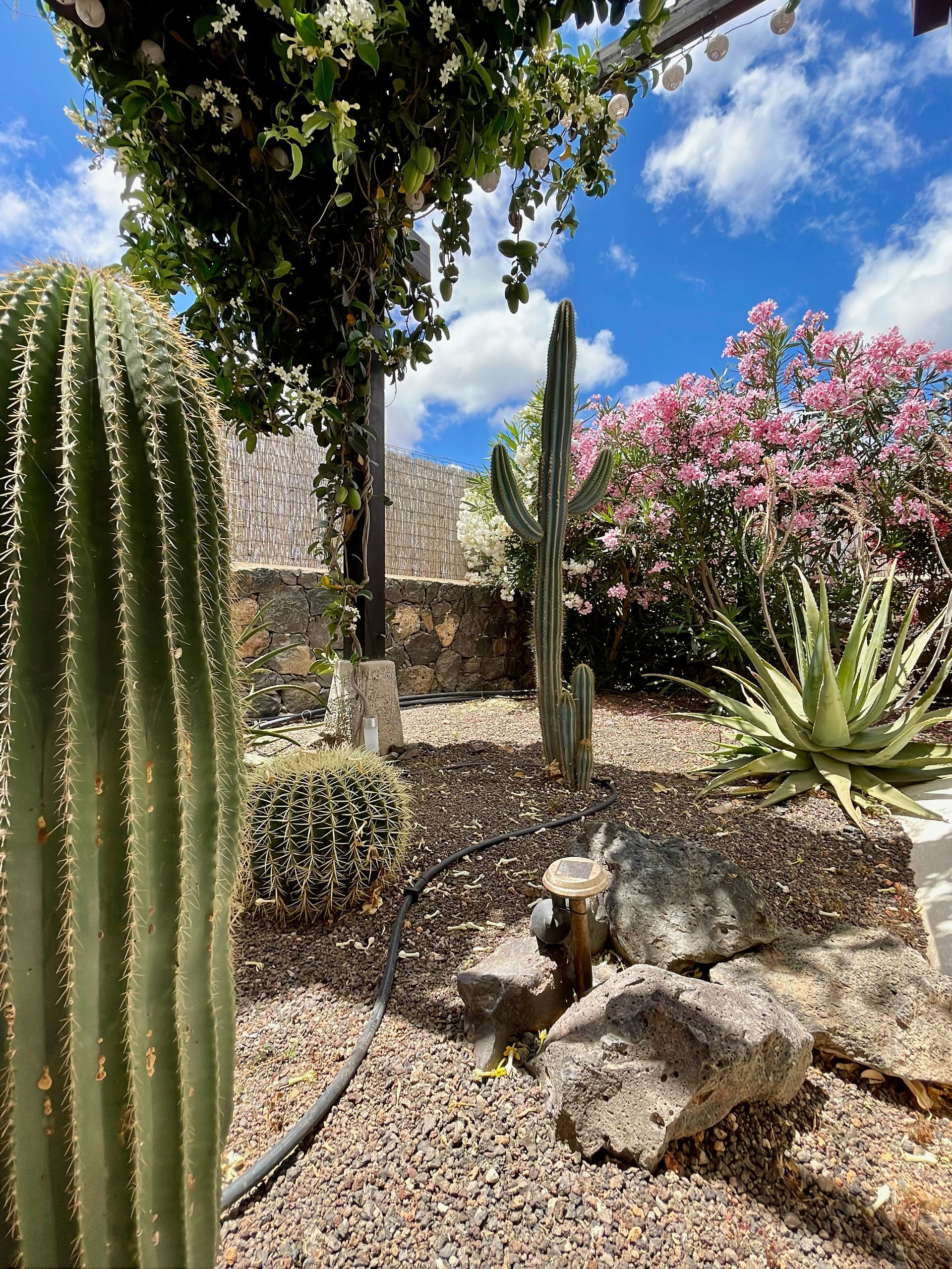 Piscine Villa Fuerteventura Vacances Booking Prix Cactus