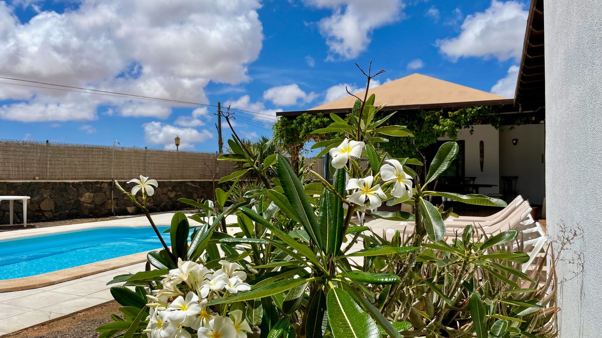 Villa Fuerteventura Pool Holidays Price