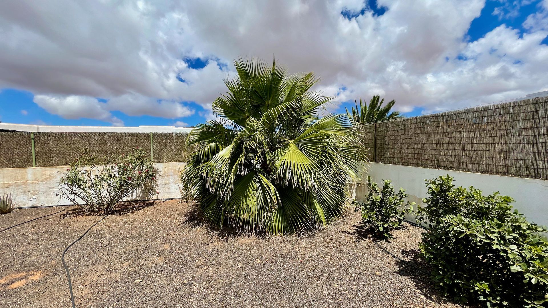 Piscine Villa Fuerteventura Vacances  Famille Booking Prix 