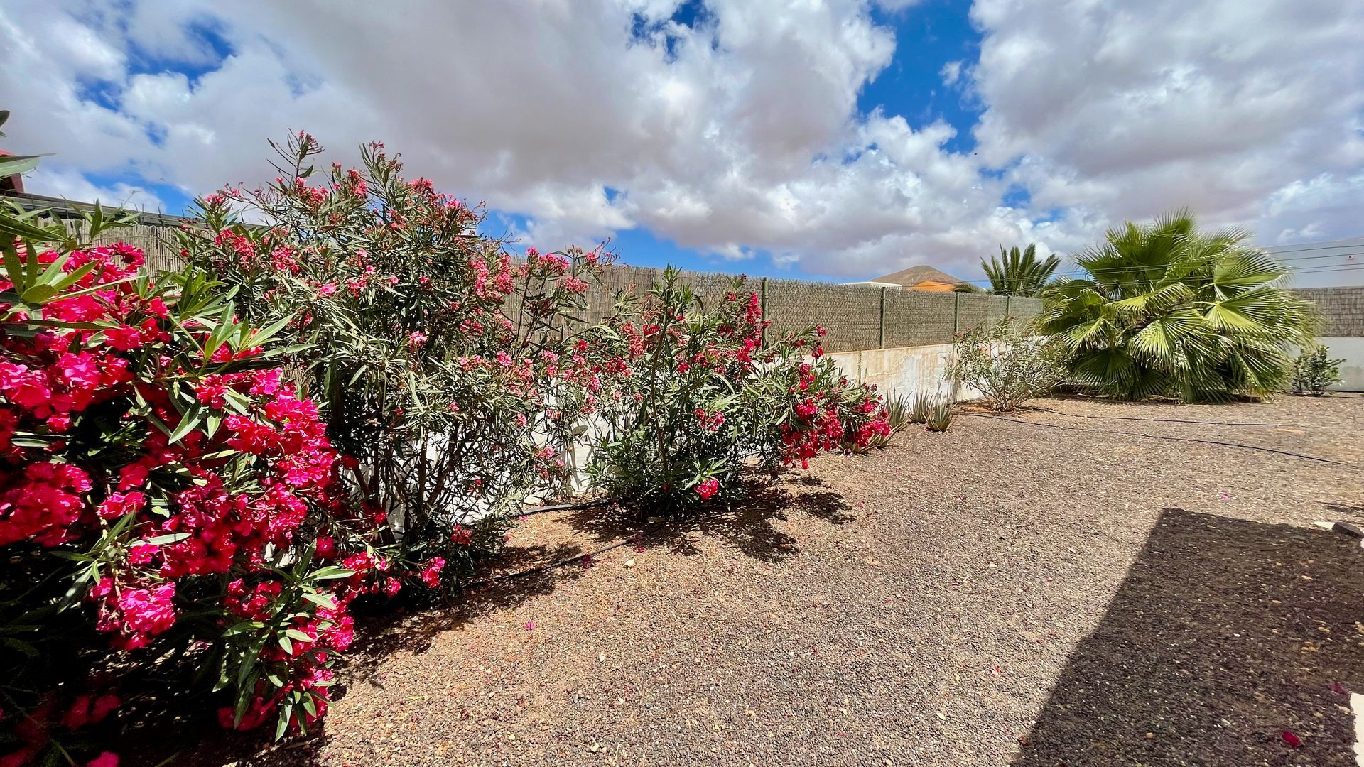 Piscine Villa Fuerteventura Vacances  Famille Booking Prix 