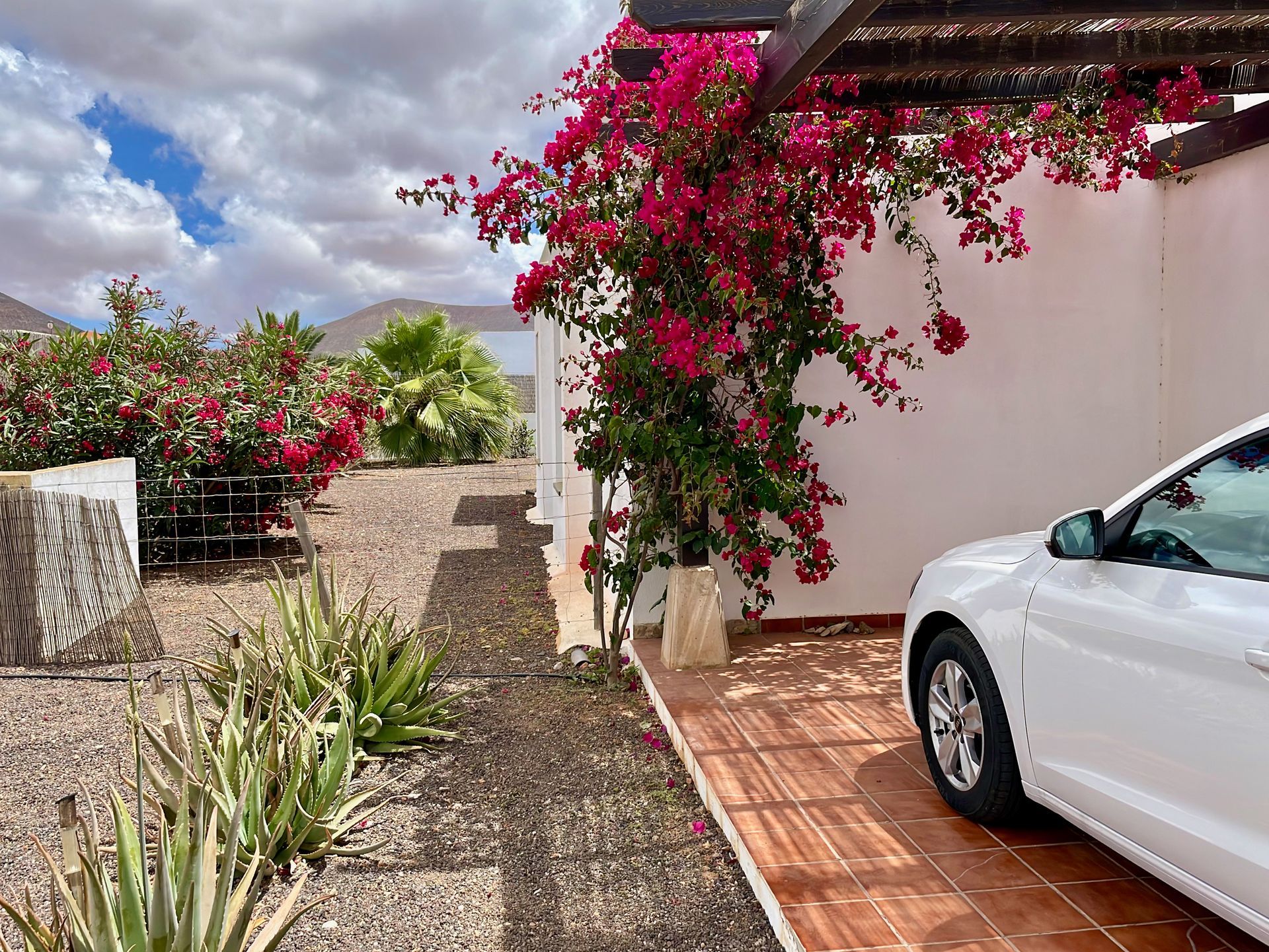 Villa Fuerteventura Pool Holidays Price