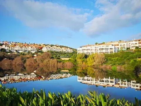 Un lago tranquilo refleja edificios y árboles blancos bajo un cielo azul con nubes esponjosas; plantas verdes en primer plano.
