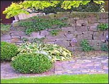 Begrünte Mauer aus Naturstein