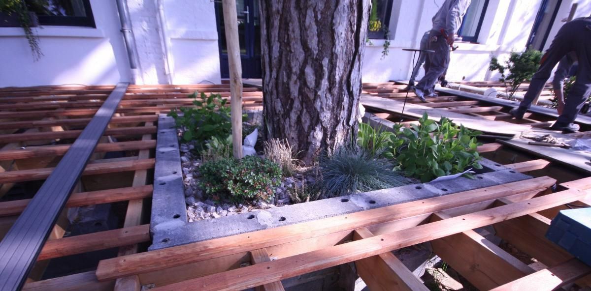 Structure de terrasse entourant un arbre