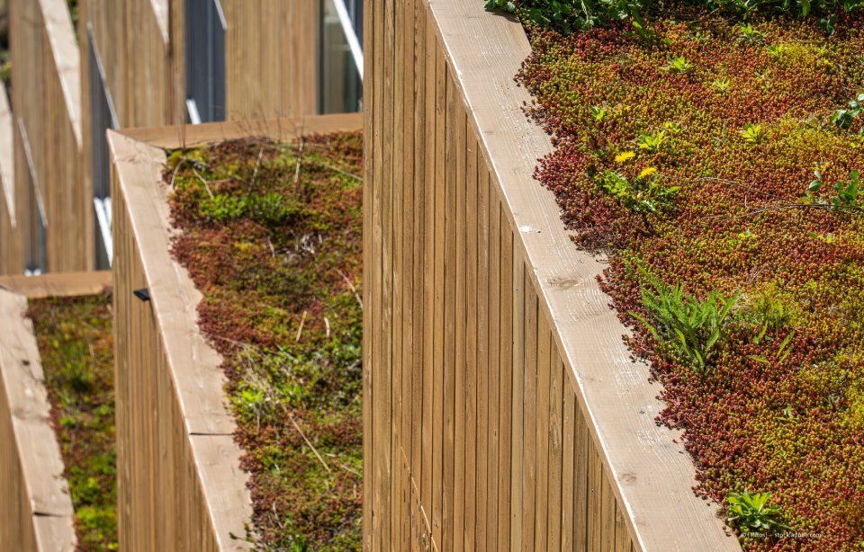 Holzfassade mit schrägen Gründächern, die ein nachhaltiges Architekturdesign präsentieren.