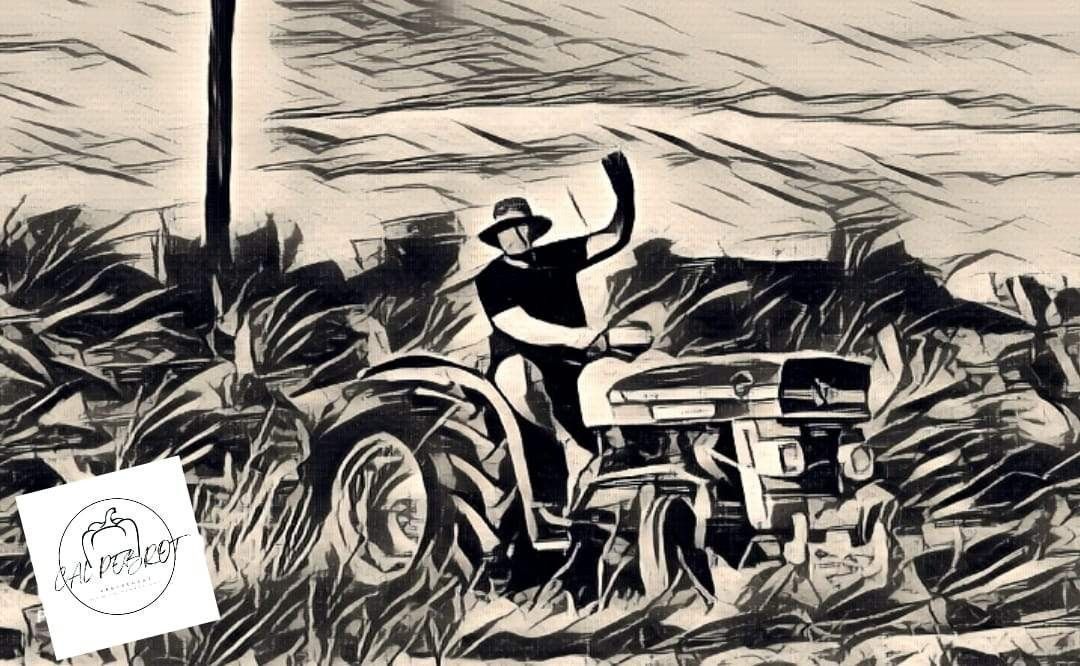 Home amb un tractor saludant en un camp. Imatge semblant a un esbós en blanc i negre.