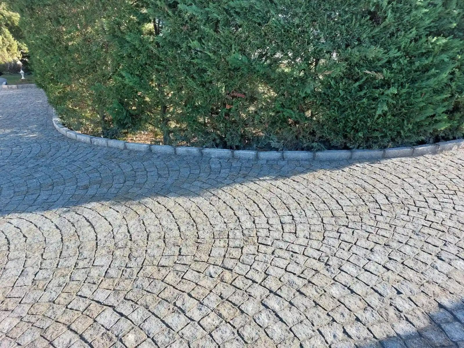 Chemin pavé sinueux bordé de haies verdoyantes baignées de soleil.
