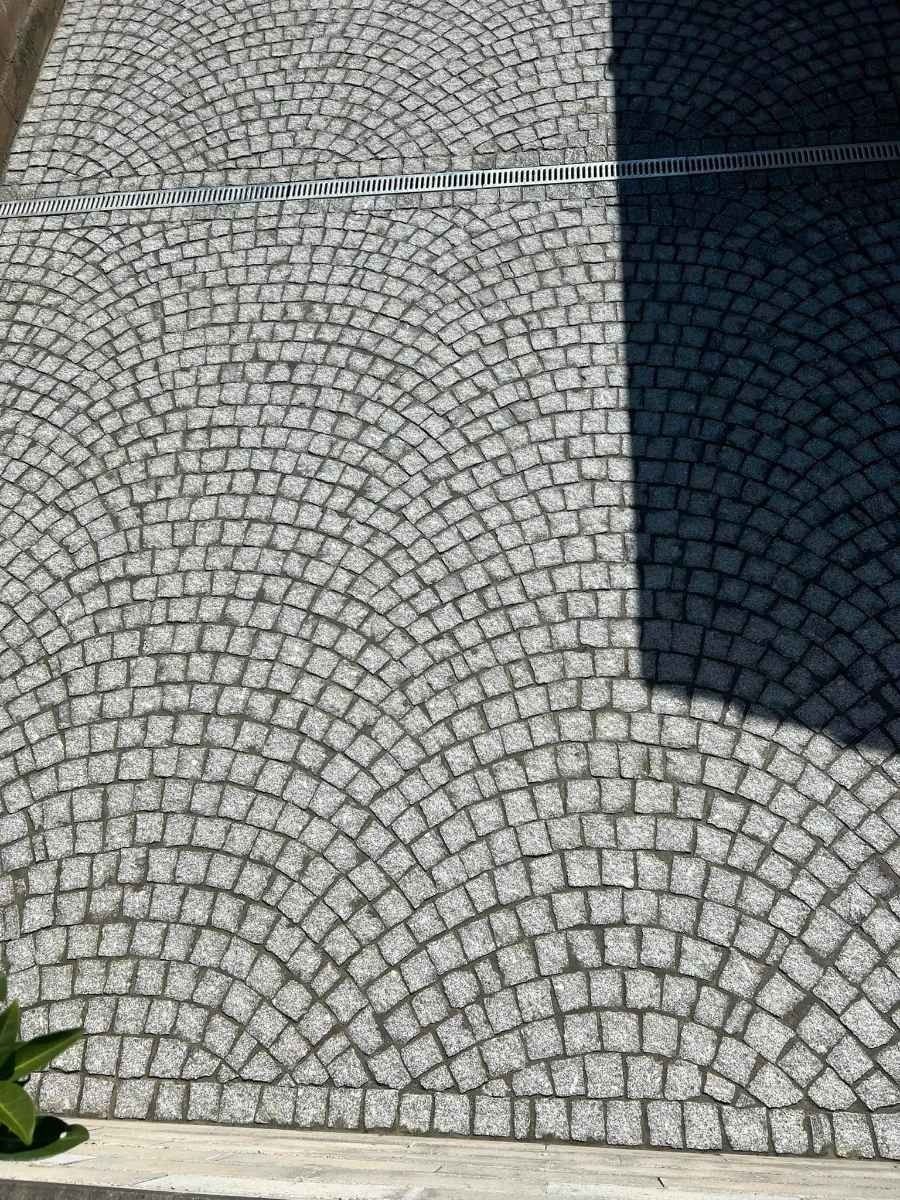 Allée pavée de pierres, avec une ombre sombre sur le côté droit et une petite plante en bas à gauche.