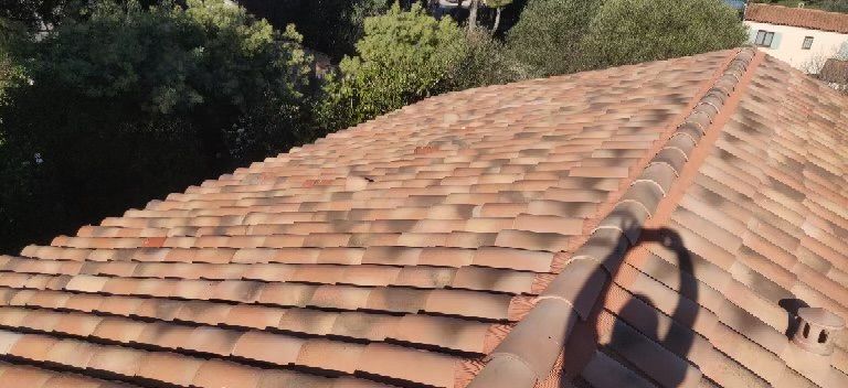 Vue d'un toit de tuiles en terre cuite avec l'ombre d'une personne tenant un objet. Des arbres se dressent à l'arrière-plan.