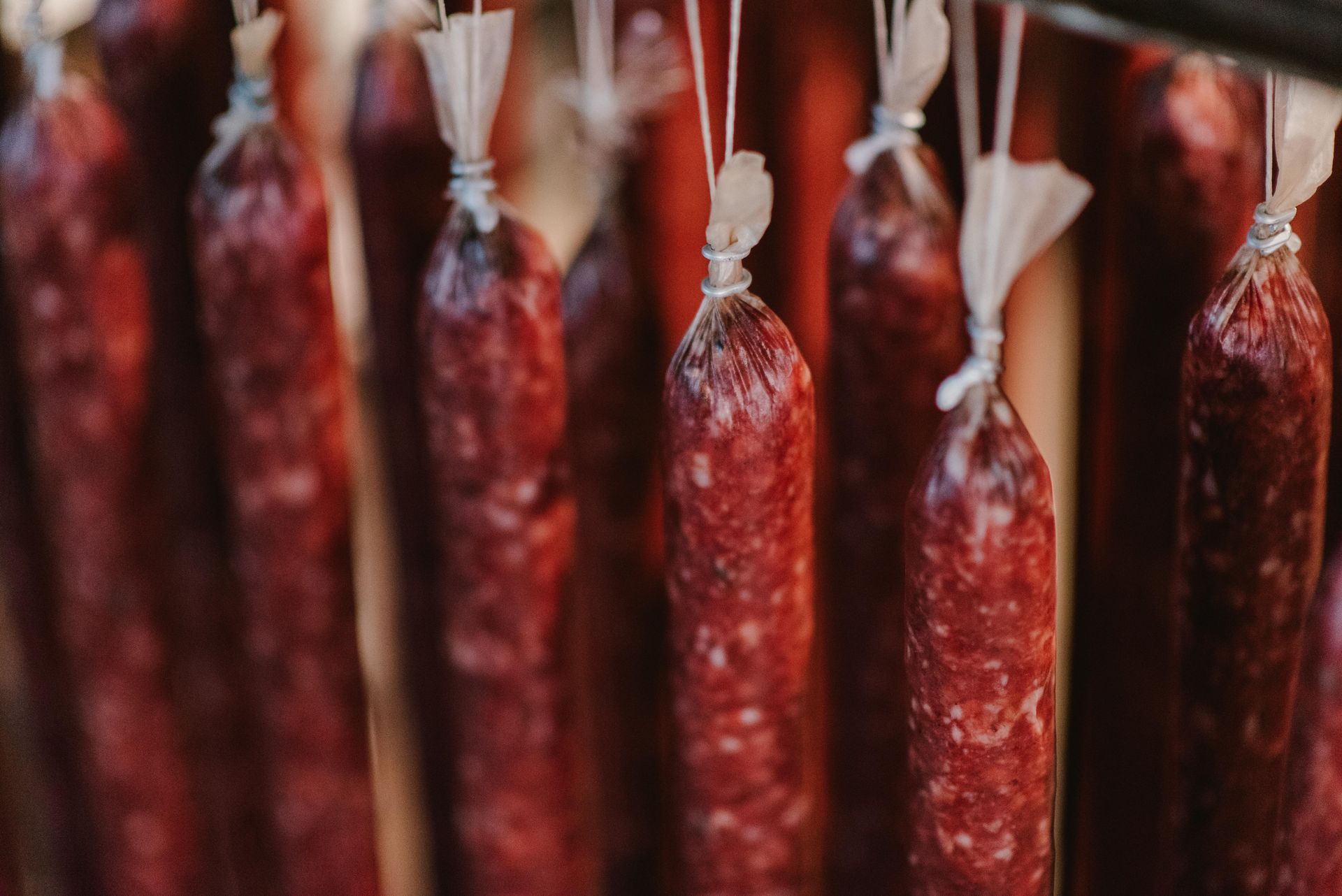 Eine braun-weisse Kuh grast auf einer sonnigen Wiese und blickt in die Kamera.