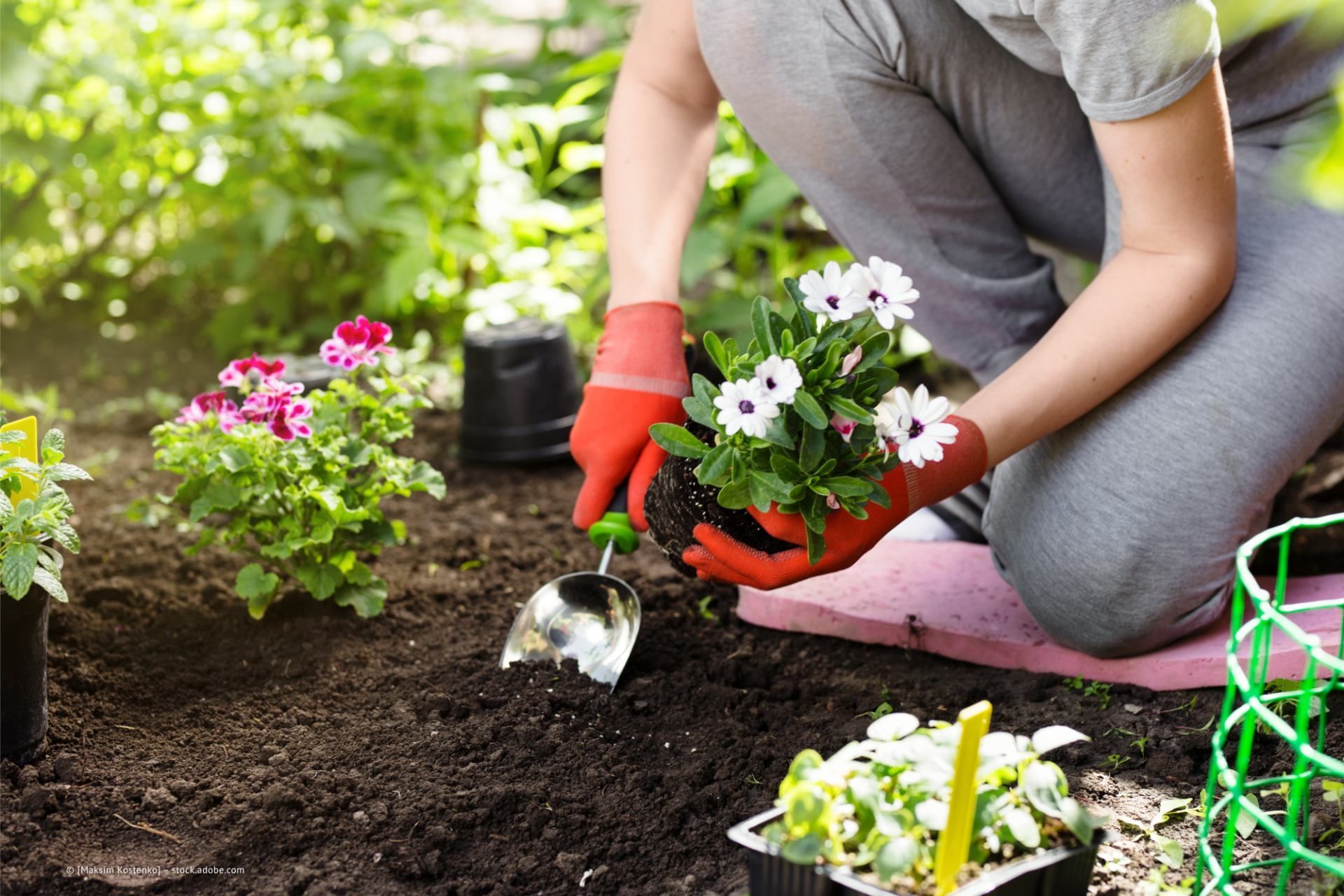 Gärtnerei Inderfurth