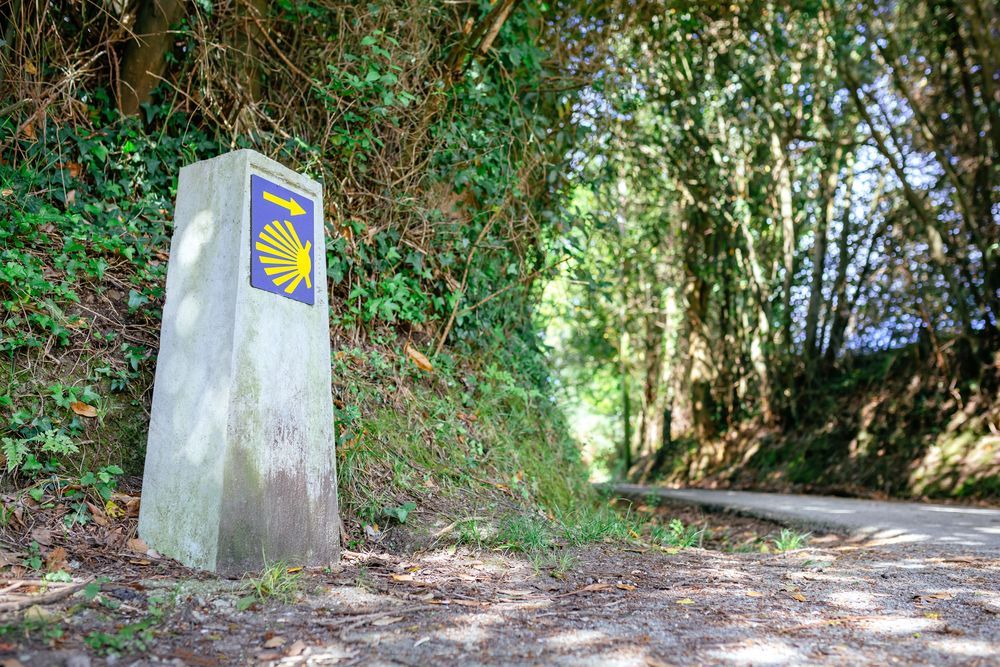 Un poste de piedra con una concha amarilla y azul está al costado de un camino de tierra.