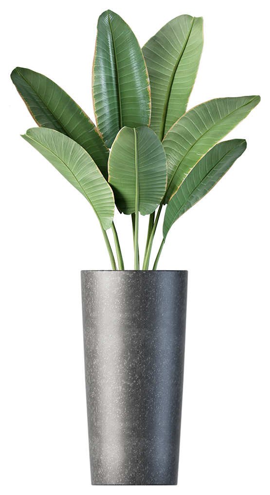 Pot de fleurs avec feuilles de palmier