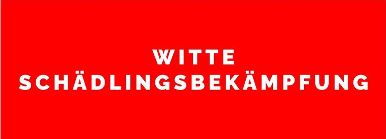 Witte Sch&auml;dlingsbek&auml;mpfung, Bochum