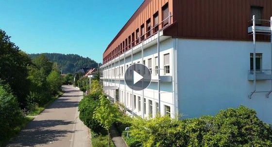 Gelbe Sonne mit pinkem Text