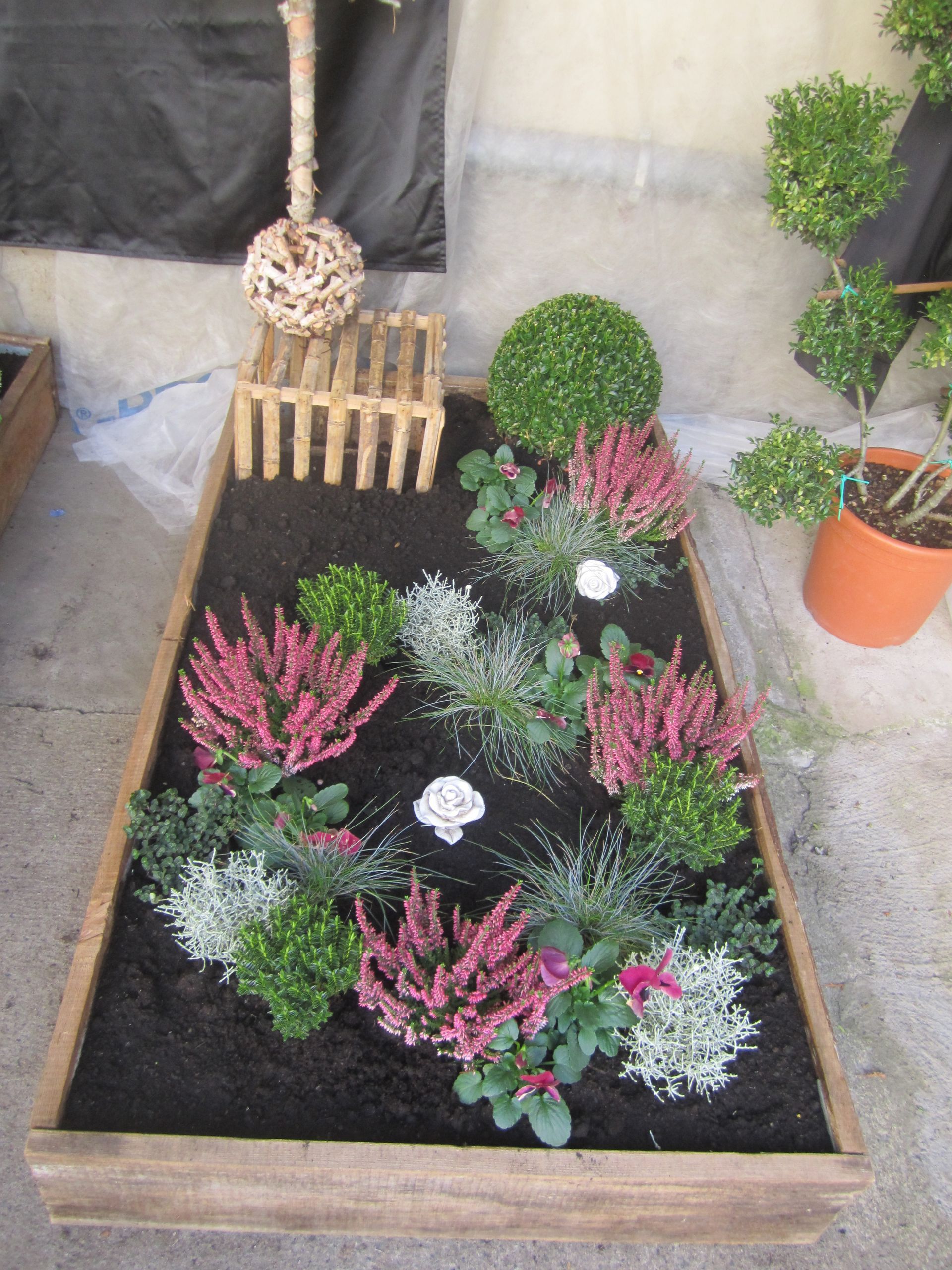 Ein rechteckiger Pflanzkasten mit einer Vielzahl kleiner Pflanzen und Blumen.