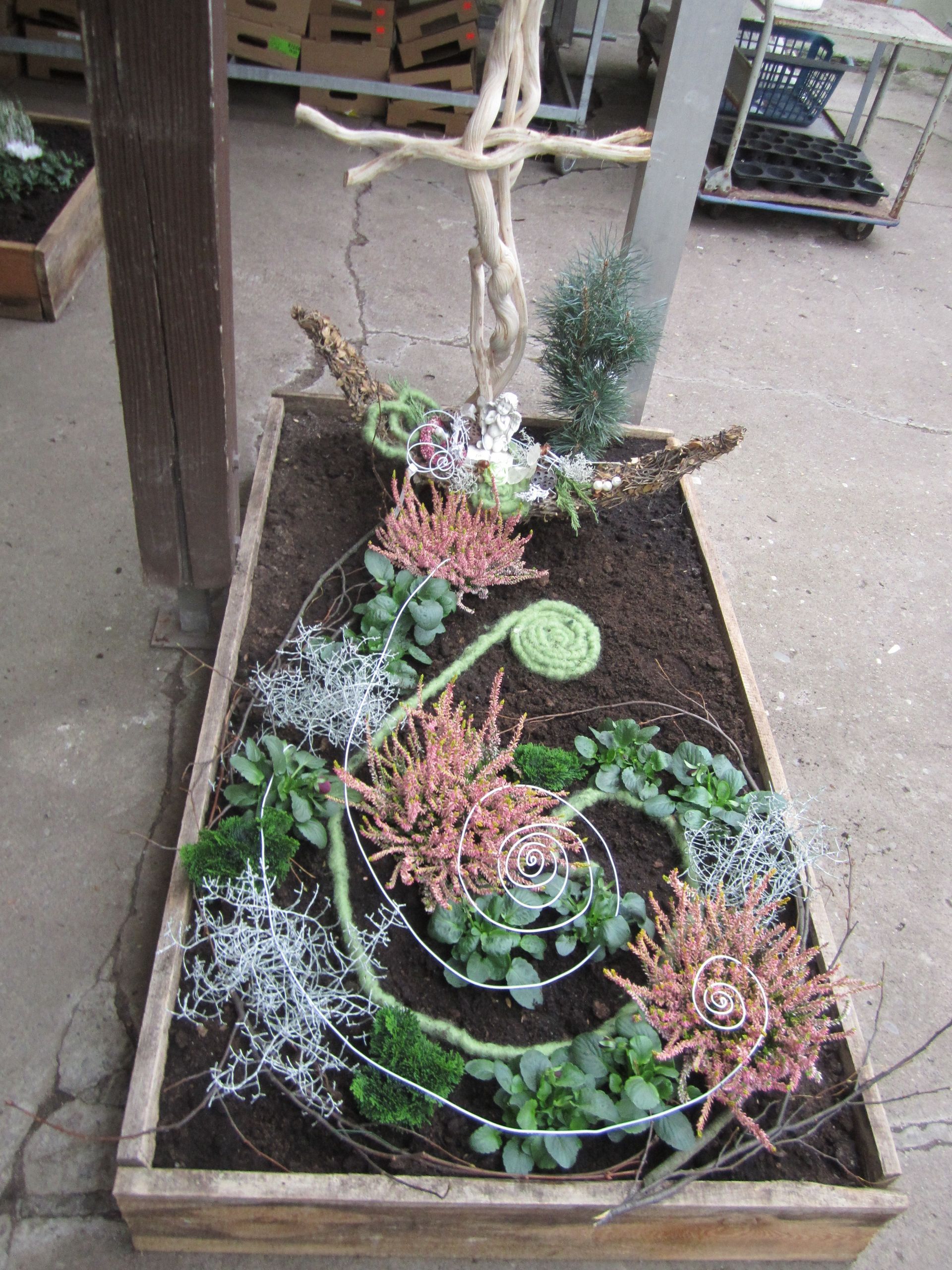 Pflanzgefäß aus Holz mit spiralförmigem Pflanzendesign, darunter Sukkulenten, Farne und Heidekraut.