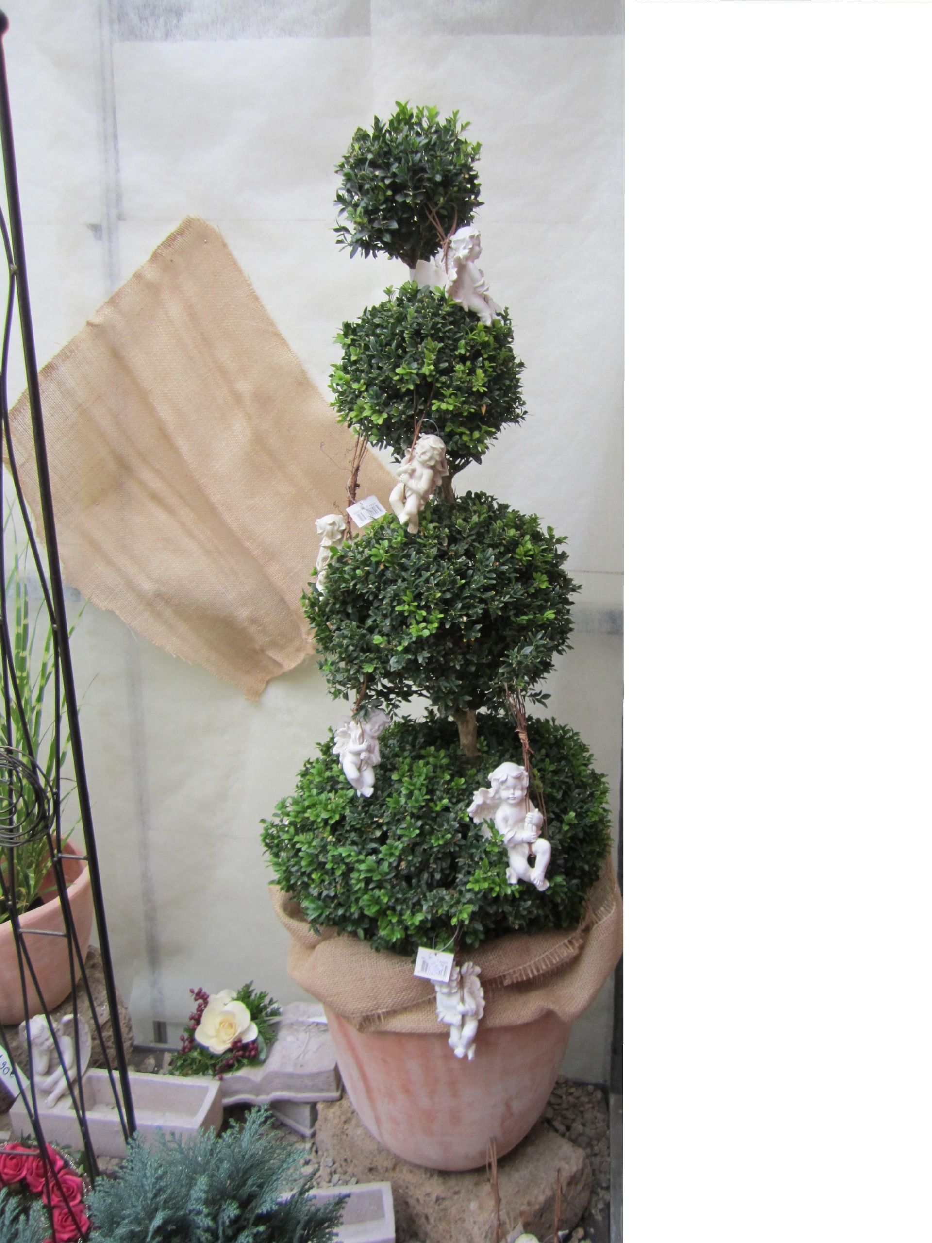 Formschnittpflanze im Terrakottatopf, dekoriert mit weißen Engelsfiguren.