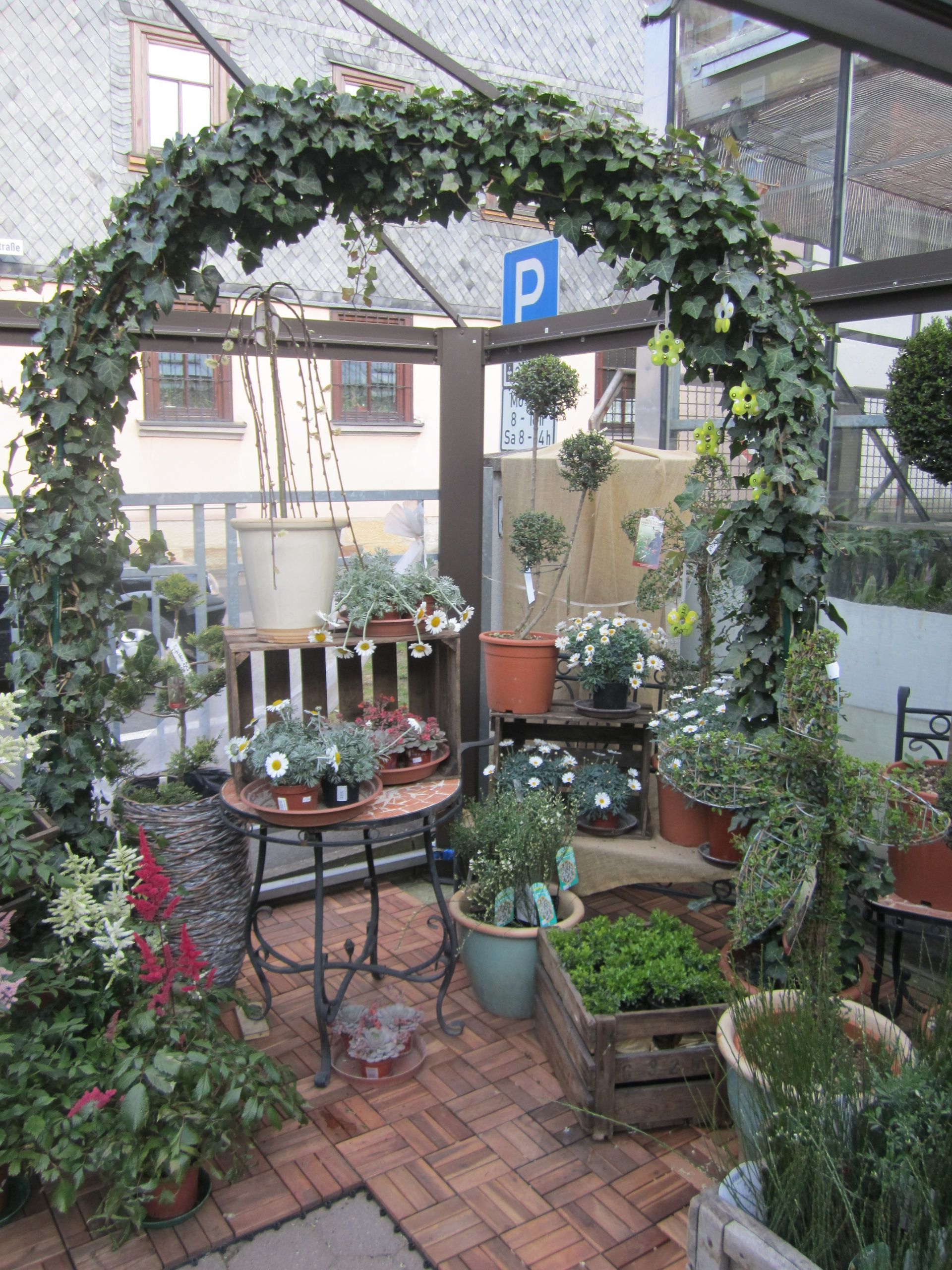 Efeubewachsener Torbogen in einem Gewächshaus voller Topfpflanzen und Blumen.