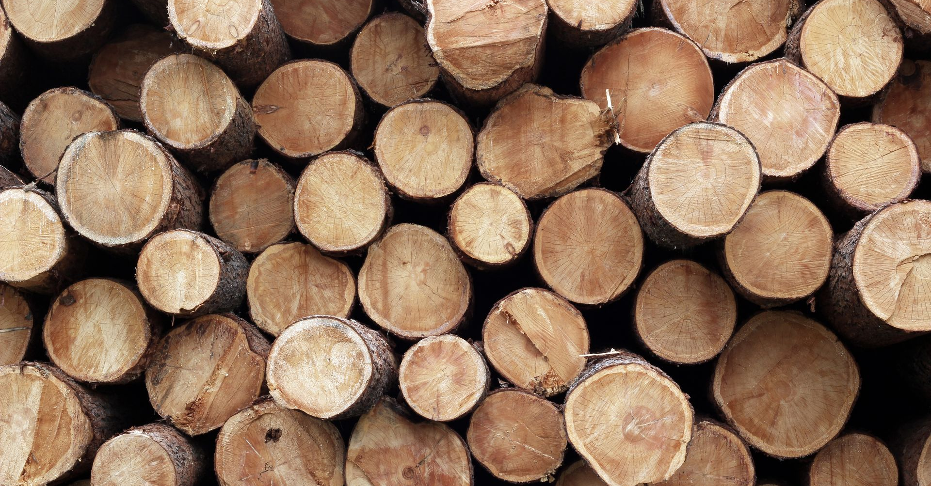 Pile de bûches de bois coupées, présentant divers motifs et couleurs de grain, à l'extérieur.