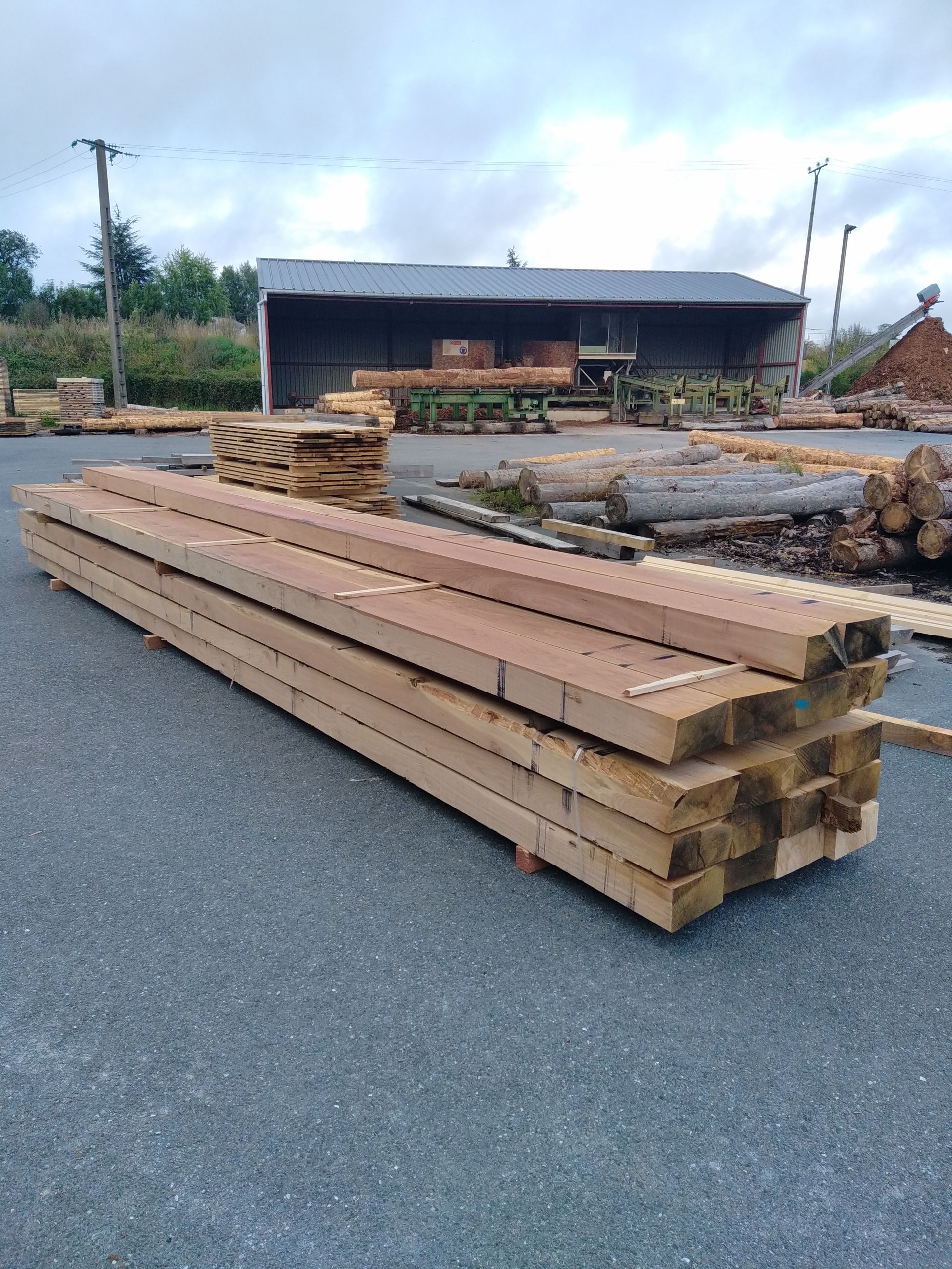 Grandes poutres en bois empilées sur la cour d’une scierie, avec des grumes et d’autres matériaux de bois en arrière-plan.