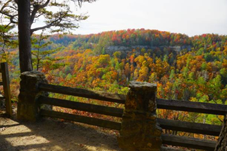 Fall foliage surrounding sandstone cliffs and hiking trails in Red River Gorge, Kentucky