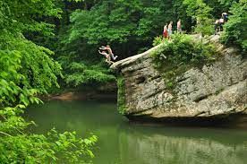 Person jumps from a rock cliff into green water, surrounded by trees.