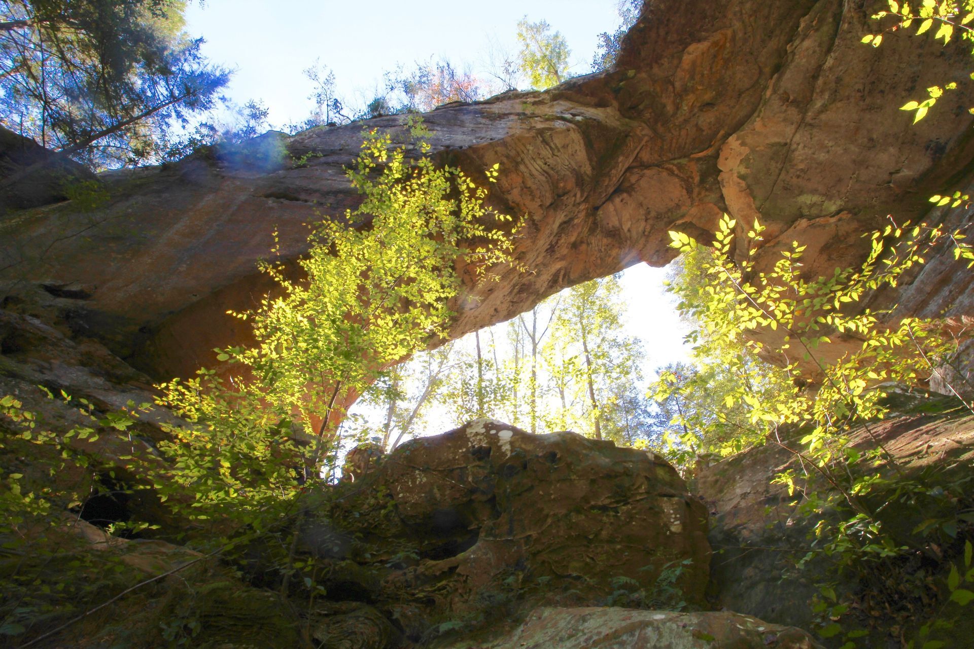 Stone arch with sunlight shining through, trees with green and gold foliage.