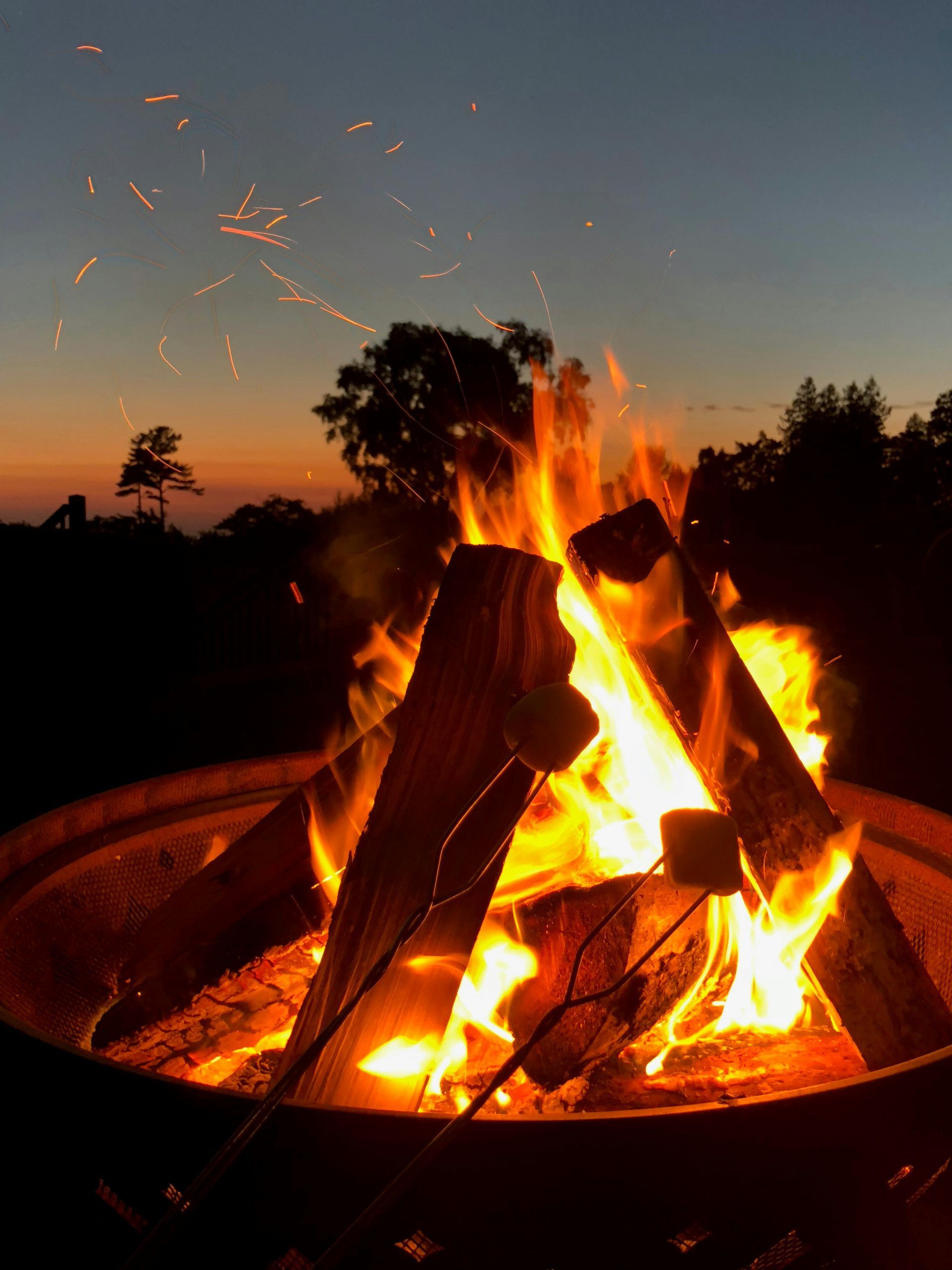 Budget Friendly Cabins in Red River Gorge