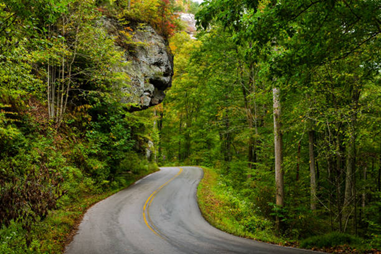 Sandstone cliffs and scenic hiking trails in Red River Gorge, Kentucky