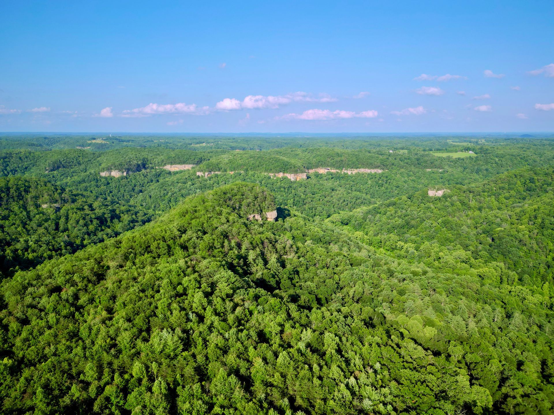 Secluded Red River Gorge cabin views