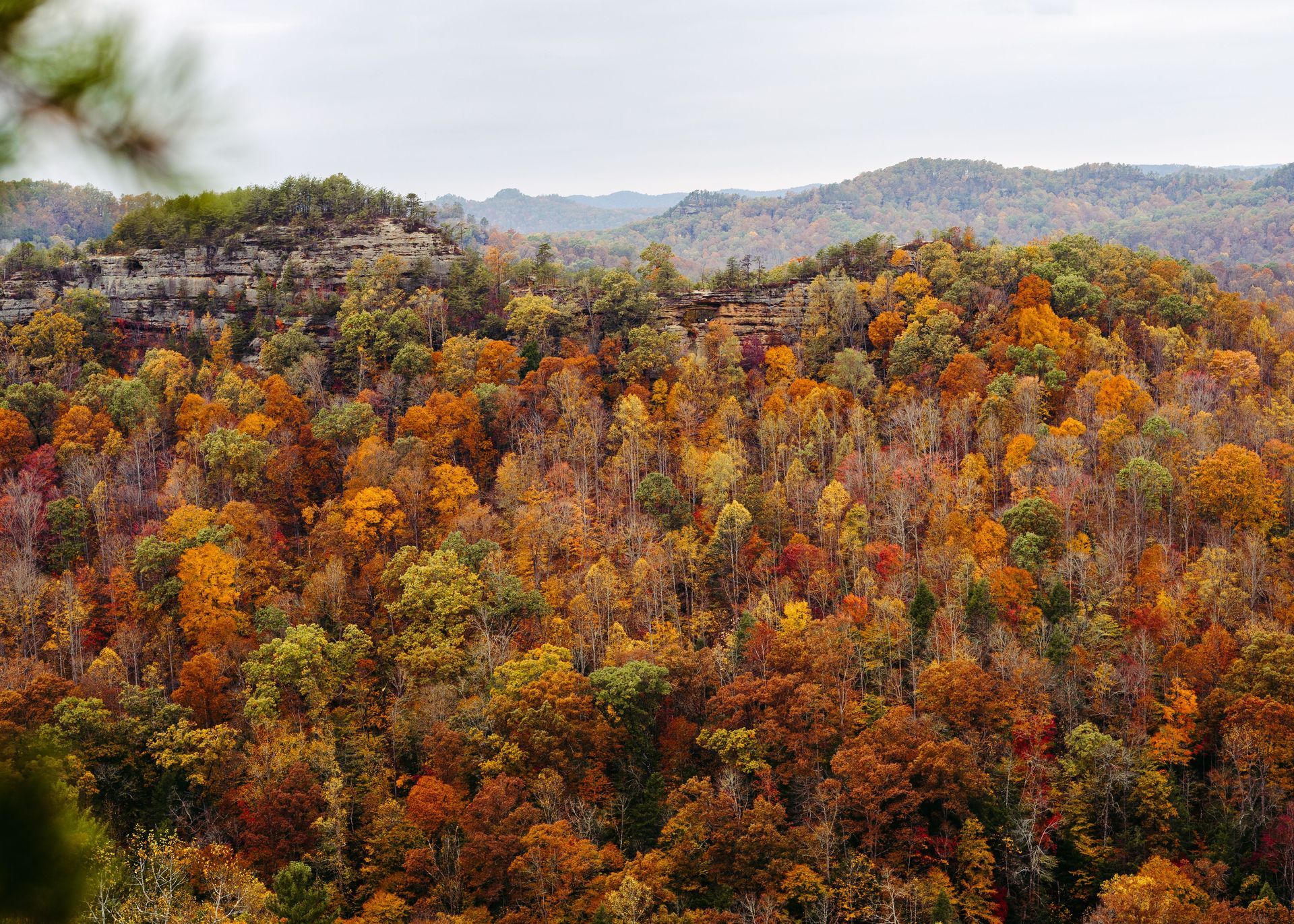 Cabins with Great Views in Red River Gorge