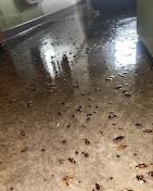 Sol en béton humide avec des débris épars.