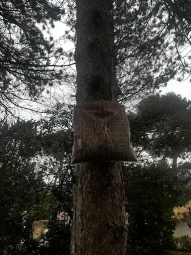 Un sac en papier brun agrafé au tronc d'un grand arbre.