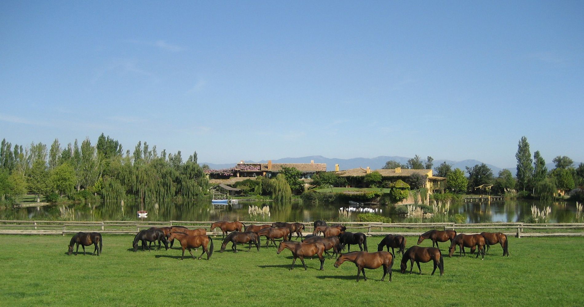 Caballos pastando en un prado verde con árboles, un estanque y montañas bajo un cielo azul despejado.