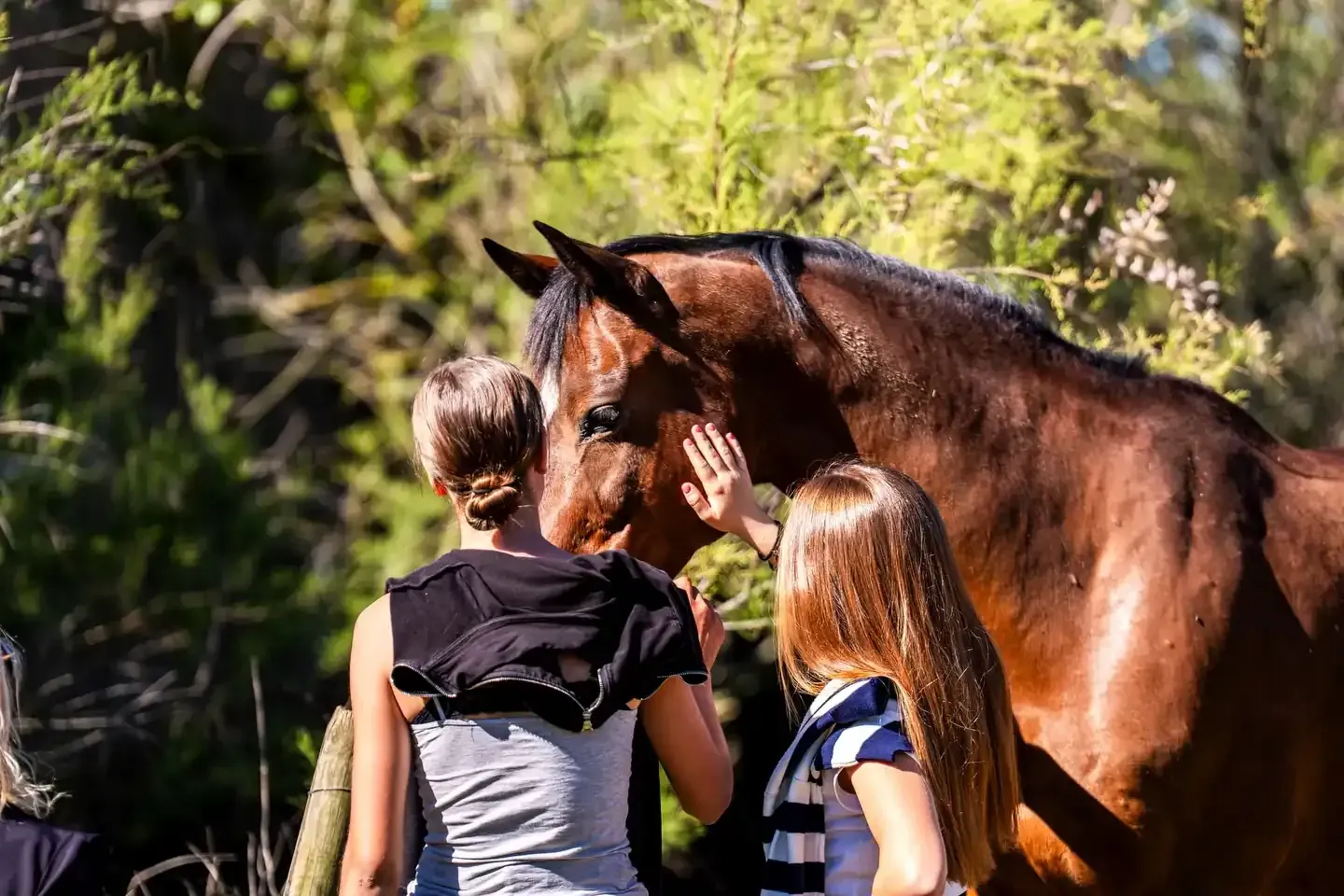 Dos personas acarician a un caballo marrón al aire libre, bajo la luz del sol.