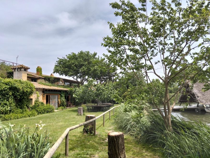 Un frondoso sendero ajardinado junto a un estanque, con árboles, hierba alta y una casa de piedra al fondo.