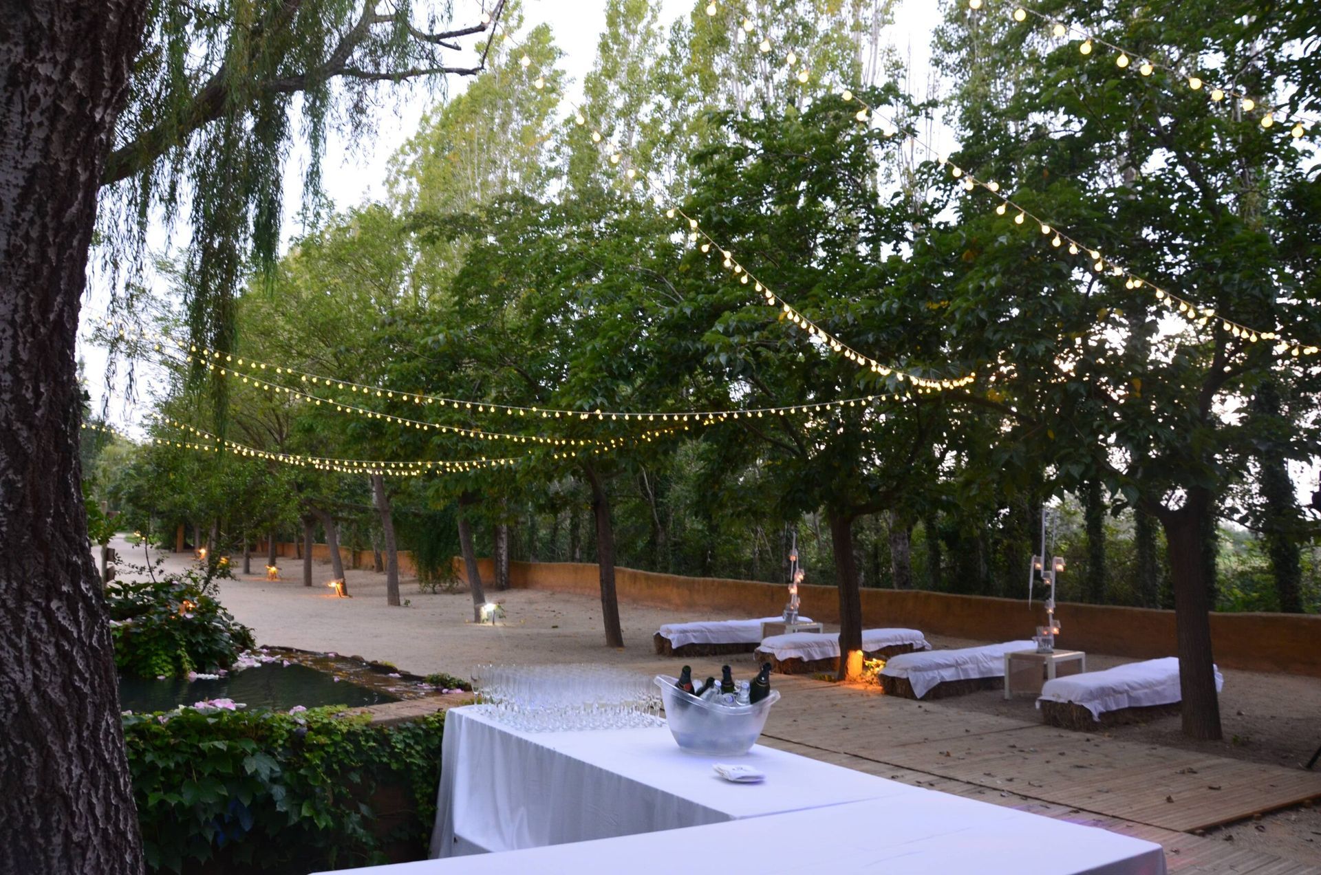 Salón al aire libre con guirnaldas de luces, tumbonas blancas y una mesa blanca bajo los árboles en un patio arenoso.