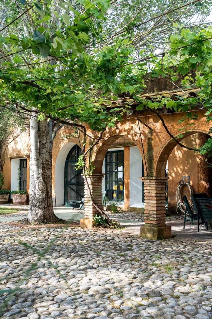Patio soleado con un arco de ladrillo, adoquines, árboles y una pequeña fachada de edificio.