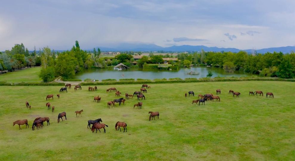 Vista aérea de edificios rústicos a orillas del lago, junto a aguas turquesas y campos bajo un cielo brumoso.