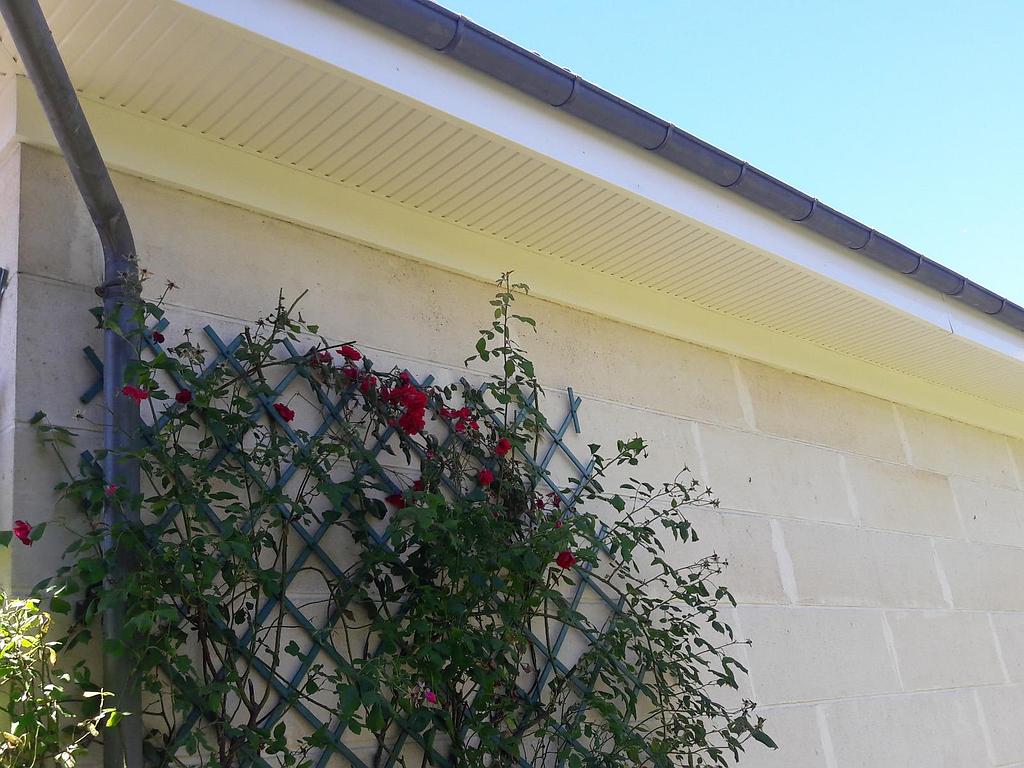 Treillage contre un mur avec des fleurs rouges grimpantes