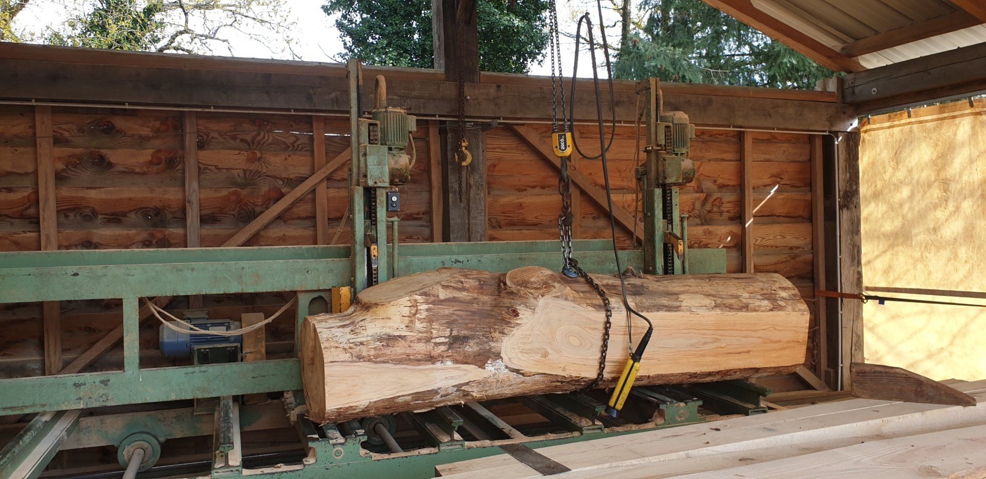 Bûche avant sa découpe