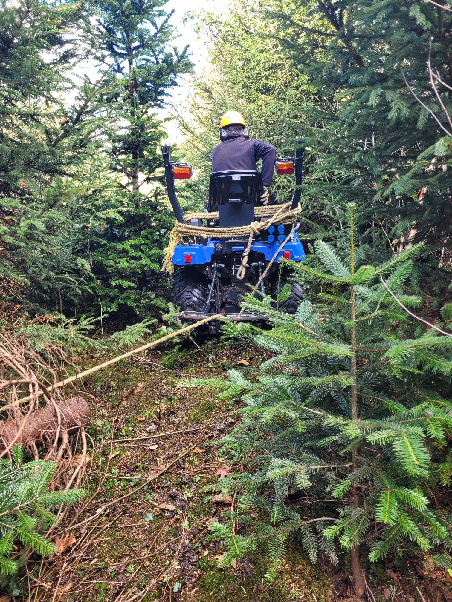 Un homme sur un quad bleu, tirant quelque chose à travers la forêt. Il porte un casque jaune.