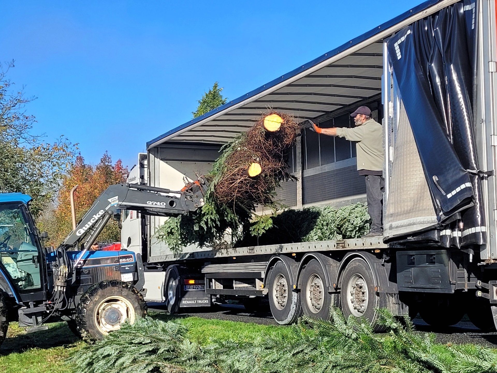 Un homme charge des branches de sapin dans un camion à l'aide d'un tracteur équipé d'un élévateur sous un ciel bleu.