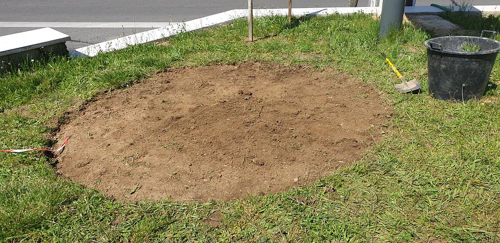 Préparation pour la plantation