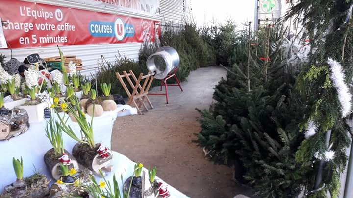 Stand vendant des plantes et des sapins de Noël