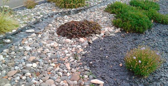 Allée avec plante et gravier décoratif